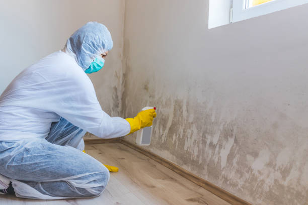 Mold Remediation specialist working in Shelbyville
